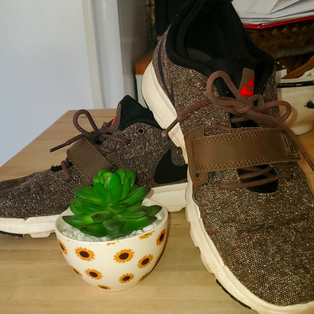 Nike Trainerendor Sb Shoes